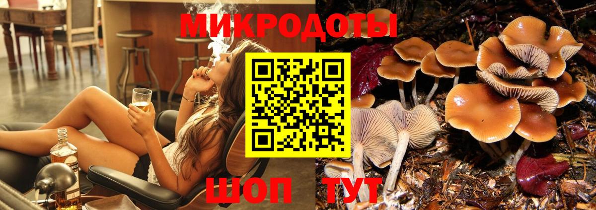 Белебей  Галлюциногенные грибы Cubensis  Вход с VPN 